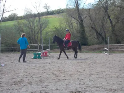 Les Chevaux du Rajal