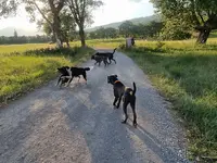 Cani Cap Education
