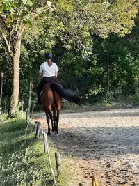 Domaine Equestre du Moulin