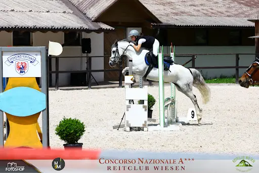 Poney Club & Elevage de la Gardiole