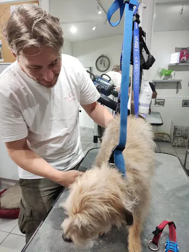 Au Chien Coquin