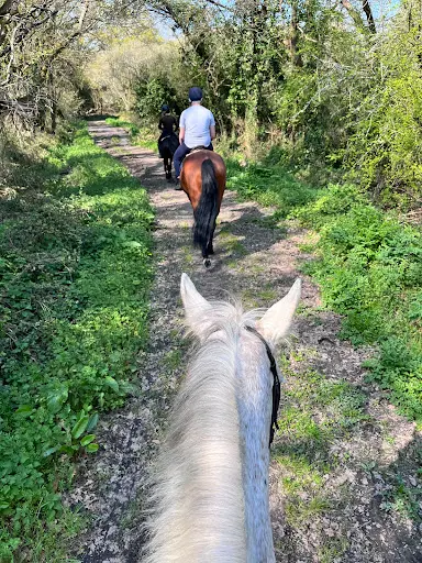 Les Ecuries des Parcs