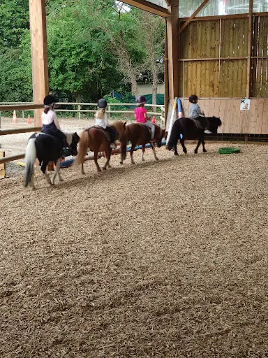 Manège des Platanes