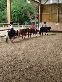 Manège des Platanes