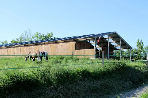 Haras D’einalem