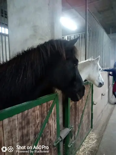Centre Equestre de la Vallée de la Bruche