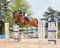 Ecurie Eric le Grel - Elevage D’ermac
