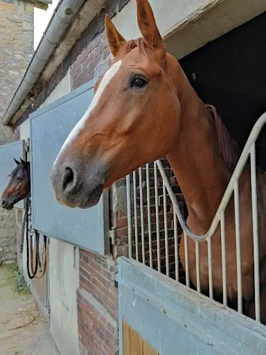 Ecuries Jolly