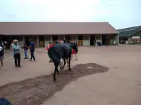 Hippodrome de la Capelle