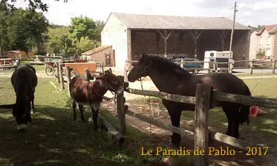 Association le Paradis de Pablo