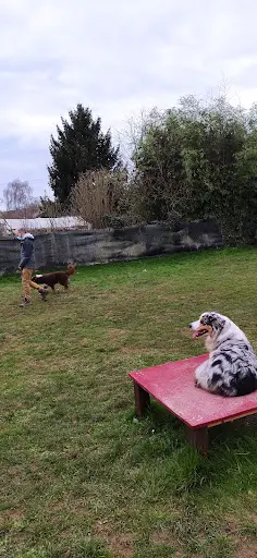 Éduc et Mon Chien 89
