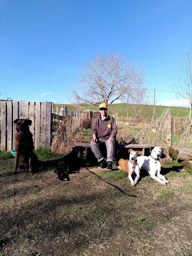 Canipotes - Education et Comportement Canin