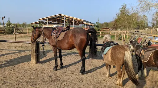 Touraine Cheval