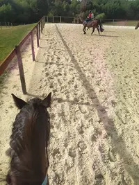 Poney Club Atoucrin