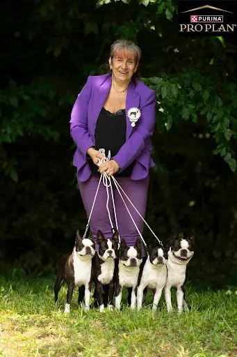 Sweeties Doggies