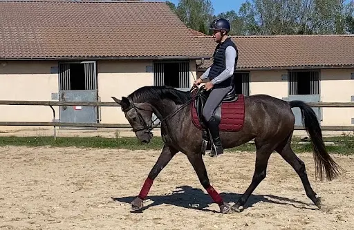 Haras des Roses