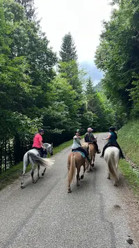 Poney Club le Manège Enchanté