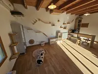 Pension de la Chat Pelle