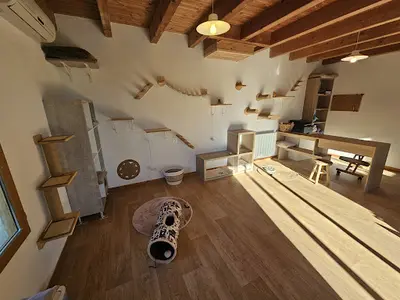 Pension de la Chat Pelle
