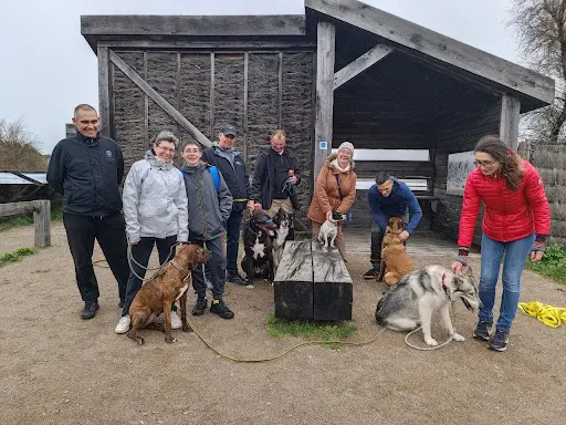 Educ & Fun - Educateur et Comportementaliste Canin