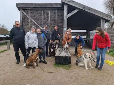 Educ & Fun - Educateur et Comportementaliste Canin