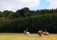 La Harelle des Chevaux