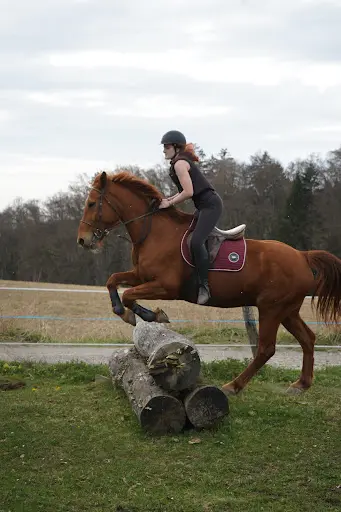 Centre Equestre le Domino Gaec