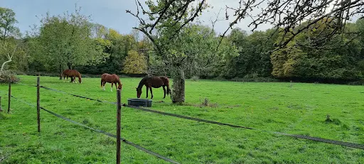 Les Écuries de la Blandinerie