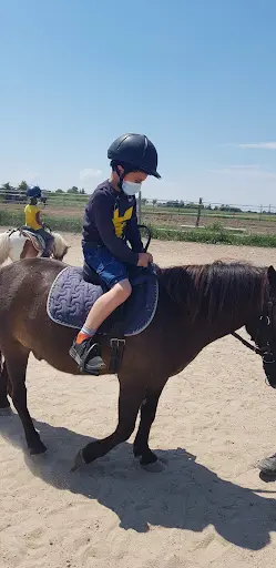 Cavalier de Maison Rouge