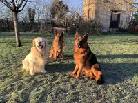 Maxi Zoo la Châtre