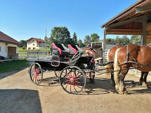 Les Attelages du Grandvaux