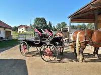 Les Attelages du Grandvaux