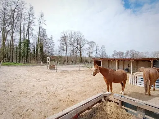 Ecurie Equi-nature Rl