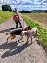 Dogeducsport By Christine