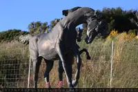 Les Ecuries de la Ciotat