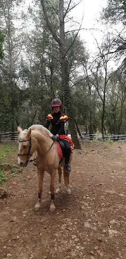 Centre Equestre la Loubière