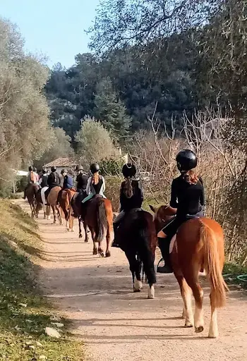 Ecole d'Equitation de la Colle sur Loup