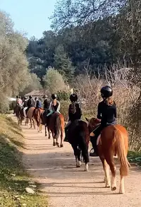Ecole d'Equitation de la Colle sur Loup