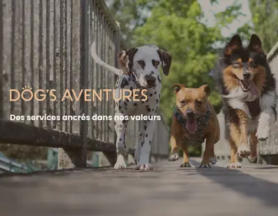 Dog S Aventures