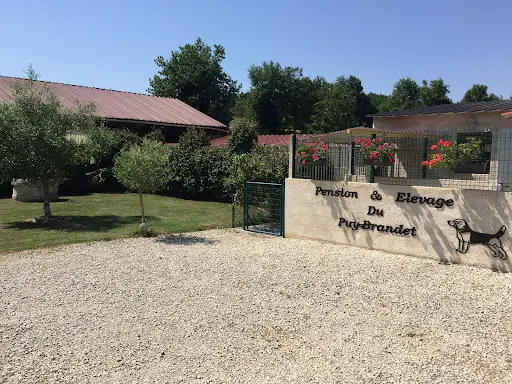 Pension Canine du Puy Brandet