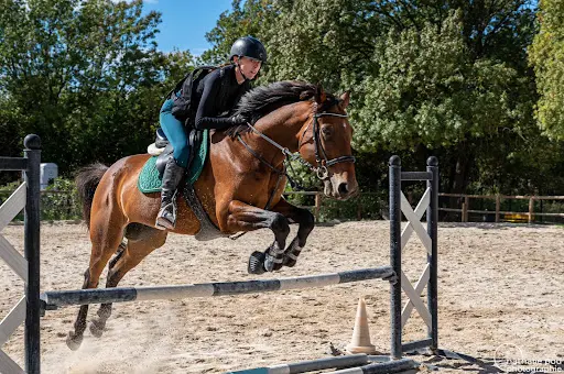 Haras d'Obtrée