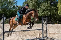 Haras d'Obtrée