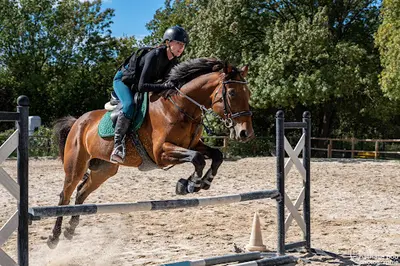 Haras d'Obtrée
