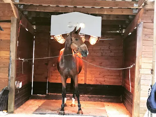 Haras du Tyana