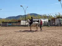 Poney Ranch de la Crau