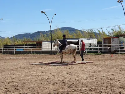 Poney Ranch de la Crau