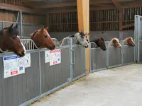 Equi Rocs/les Prairies d'Eden