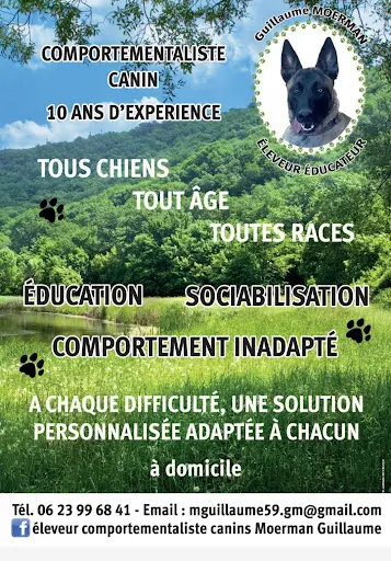 Moerman Guillaume Éleveur Éducateur Comportementaliste Canin