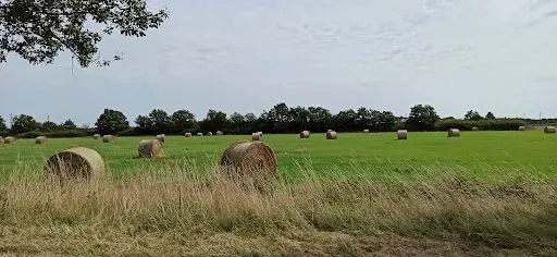 Chenil du Petit Bois