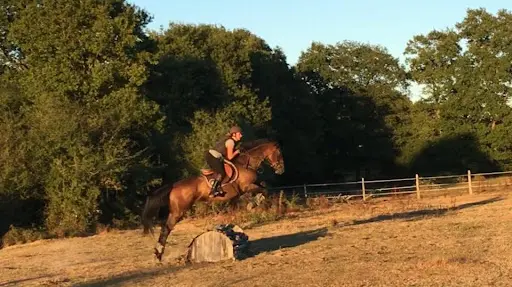 Ecurie Wa/poney Club de Vinauger
